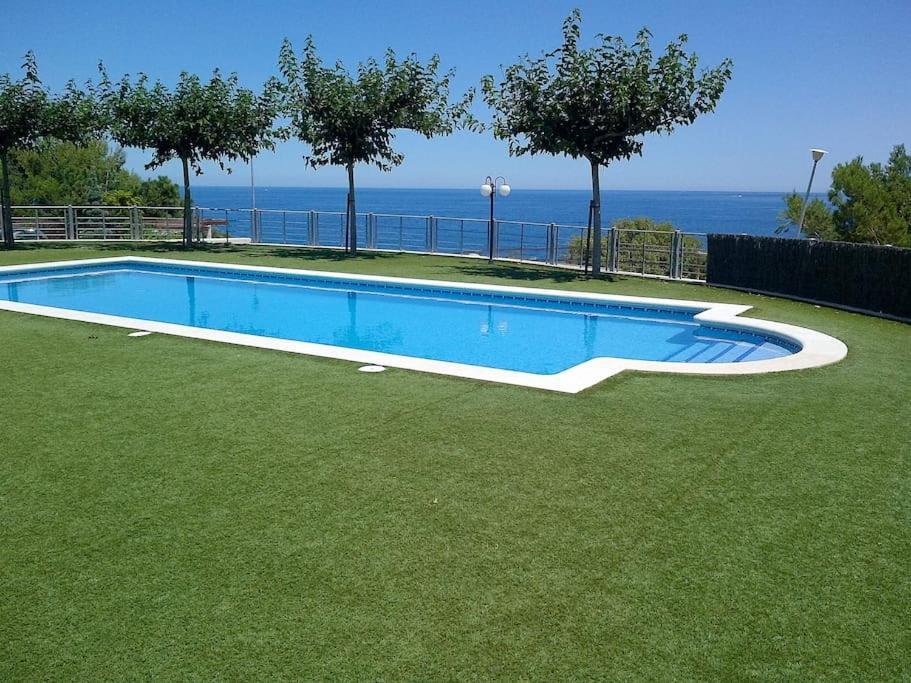 Llança Residence Avec Piscine Face A La Mer, 1Ere Ligne מראה חיצוני תמונה